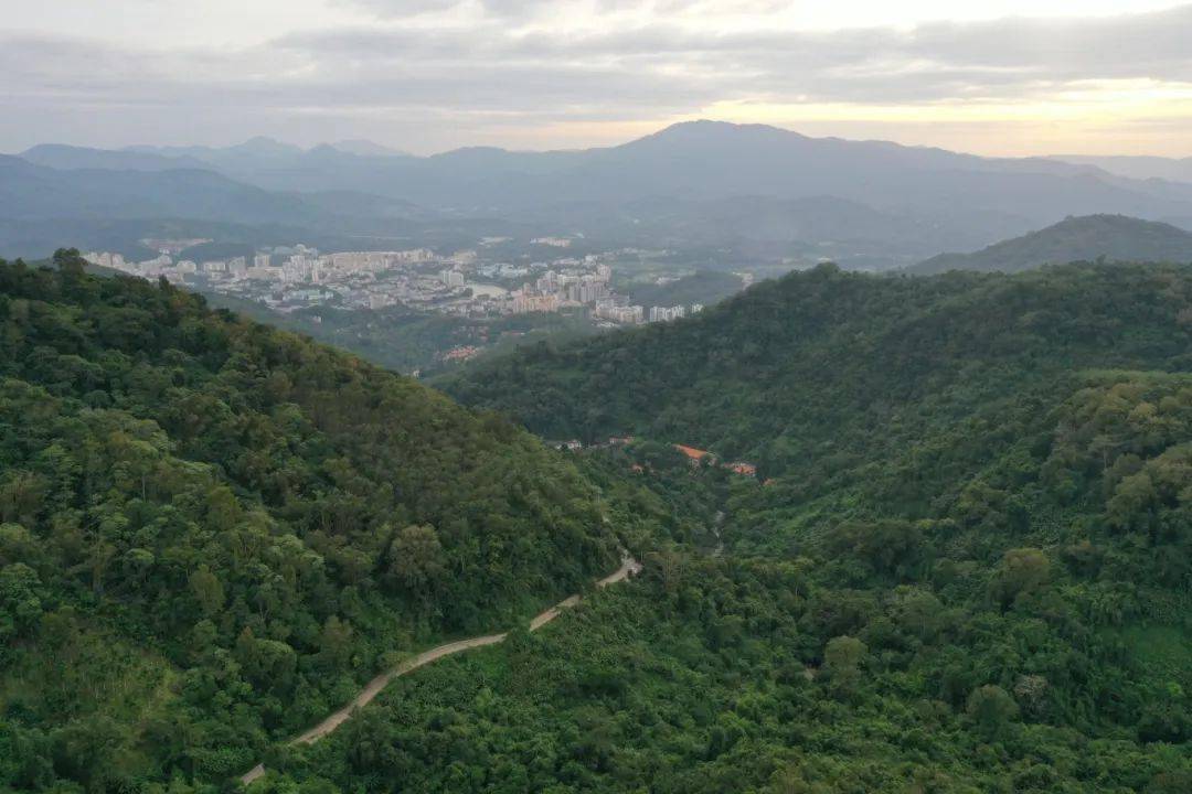 火狐电竞app首页雨林天路骑行指南丨畅骑五指山趣享雨林路(图5)