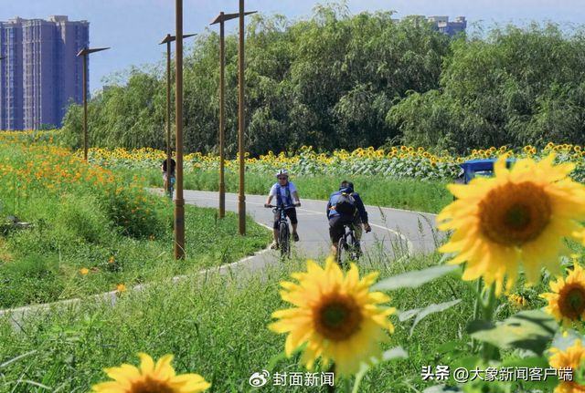 折叠自行车拒绝搭乘？成都地骑行铁：以行李方式规范打包火狐电竞官方网站可携带(图1)